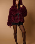 Volpe Peony bordeaux