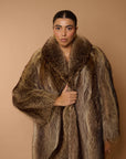 Marmotta savy.