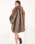 Marmotta Elettra