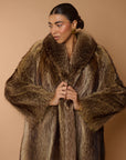 Marmotta savy.