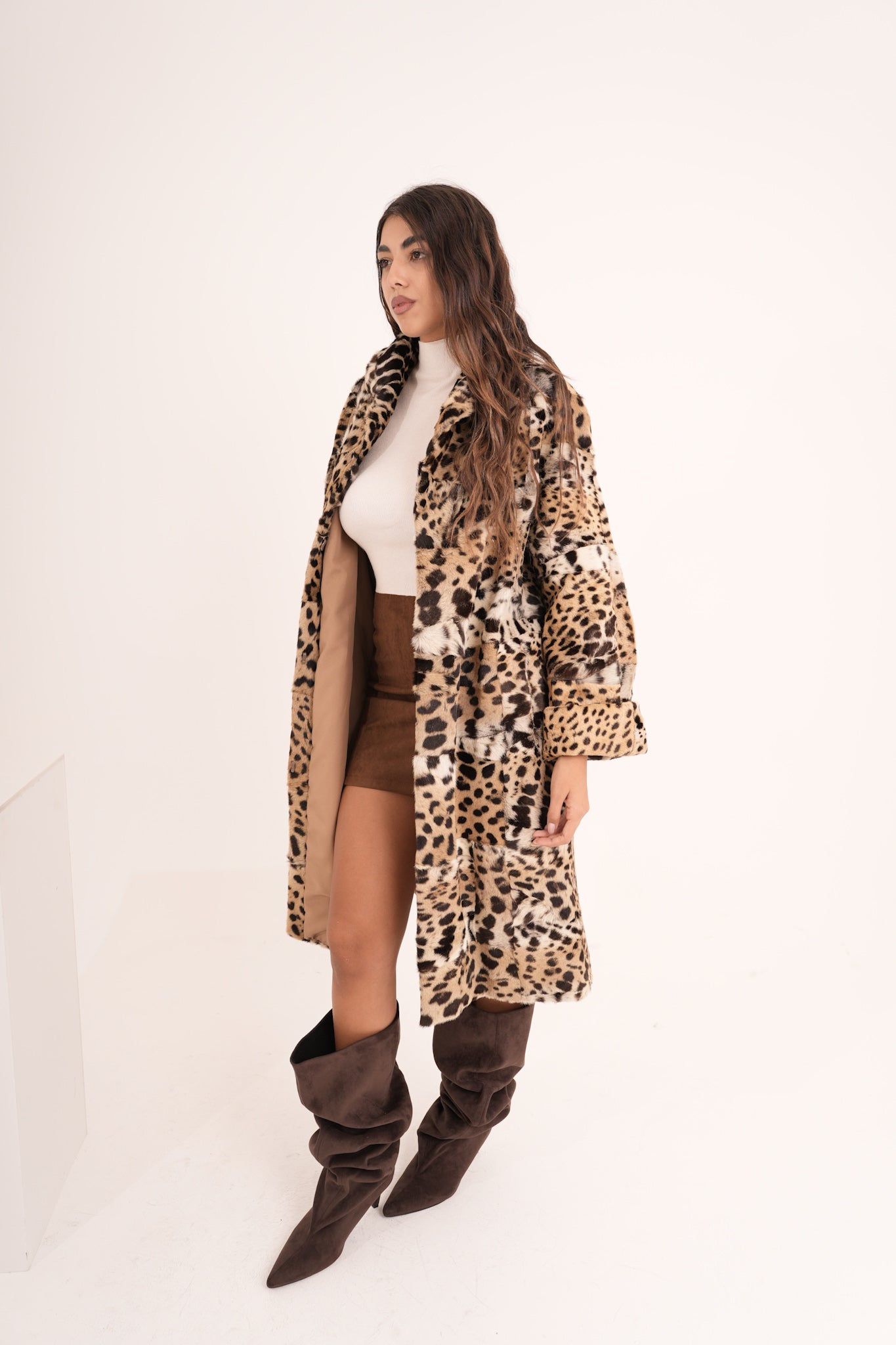 Lince amy