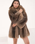 Marmotta Elettra