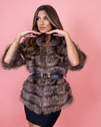 Marmotta corta sally