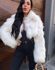 Volpe crop lite