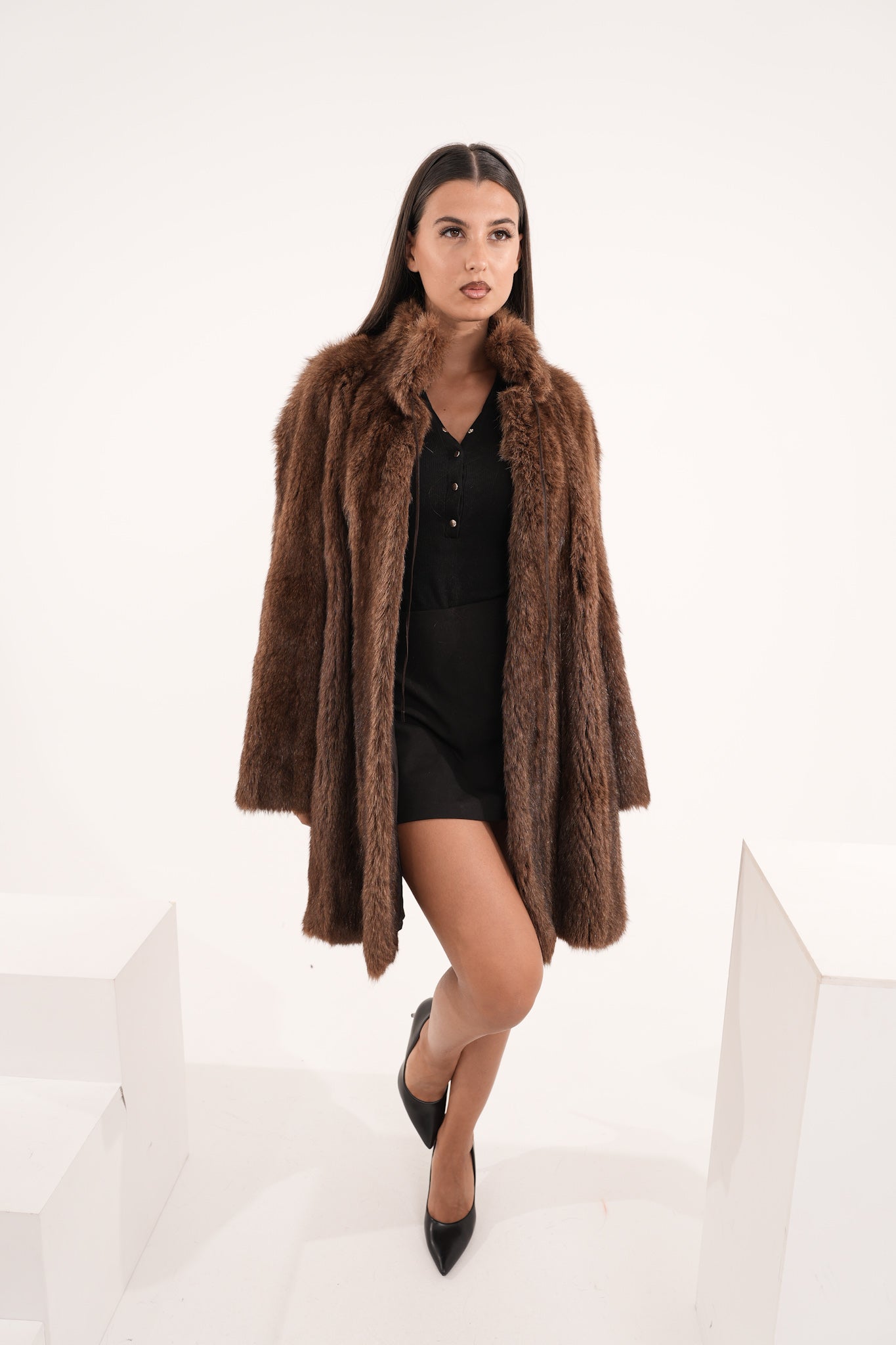 Marmotta browny