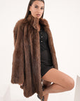 Marmotta browny