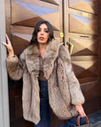 Volpe brown