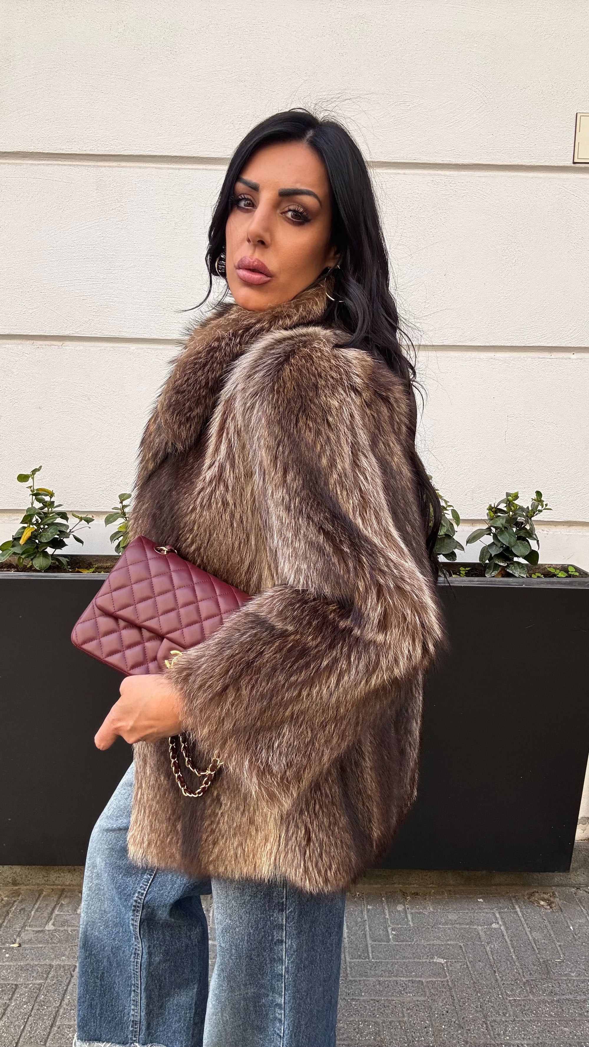 Marmotta alexis 2.0