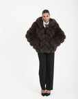 Volpe camelia choco