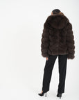 Volpe camelia choco