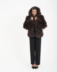 Volpe camelia choco