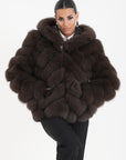 Volpe camelia choco
