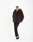 Volpe camelia choco