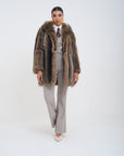 Marmotta sole