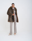 Marmotta sole