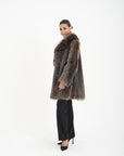 Marmotta felce