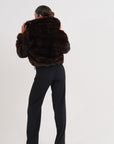Iconic bomber egle