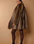 Marmotta savy.