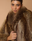 Marmotta savy.