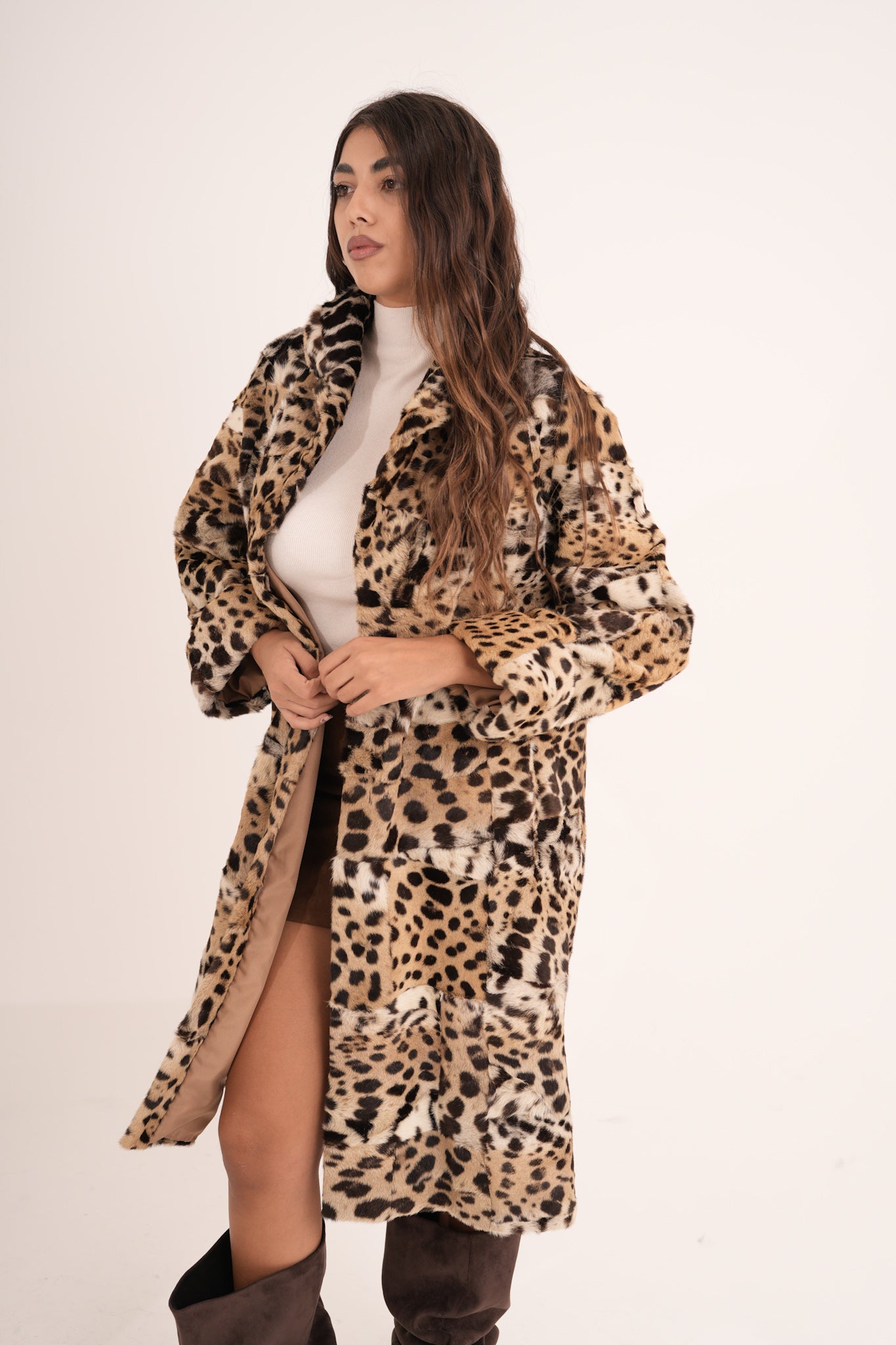 Lince amy