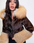 Visone con bordi volpe
