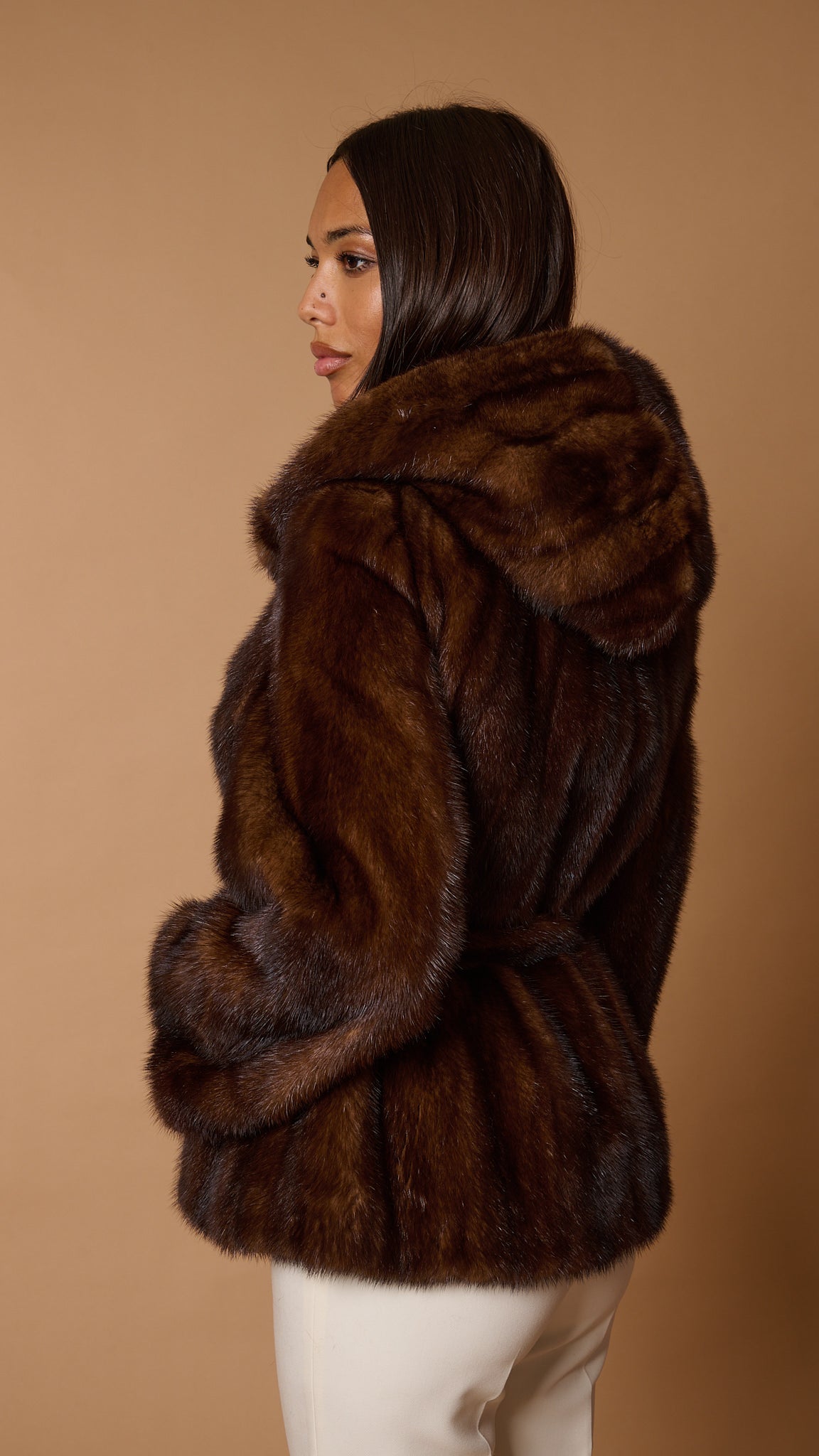 Iconic essential brown light