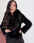 Visone collo volpe Total black