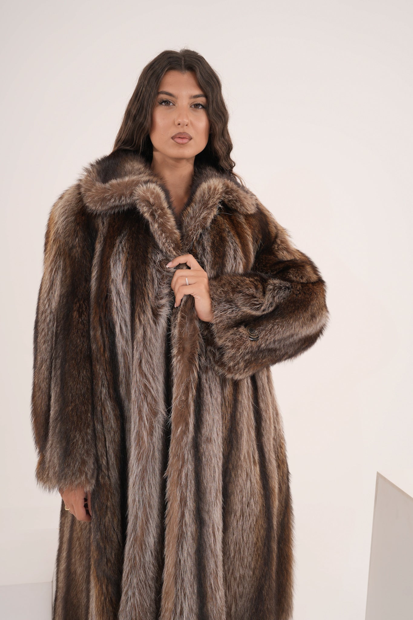 Marmotta Elettra icon