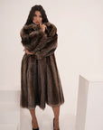 Marmotta Elettra icon