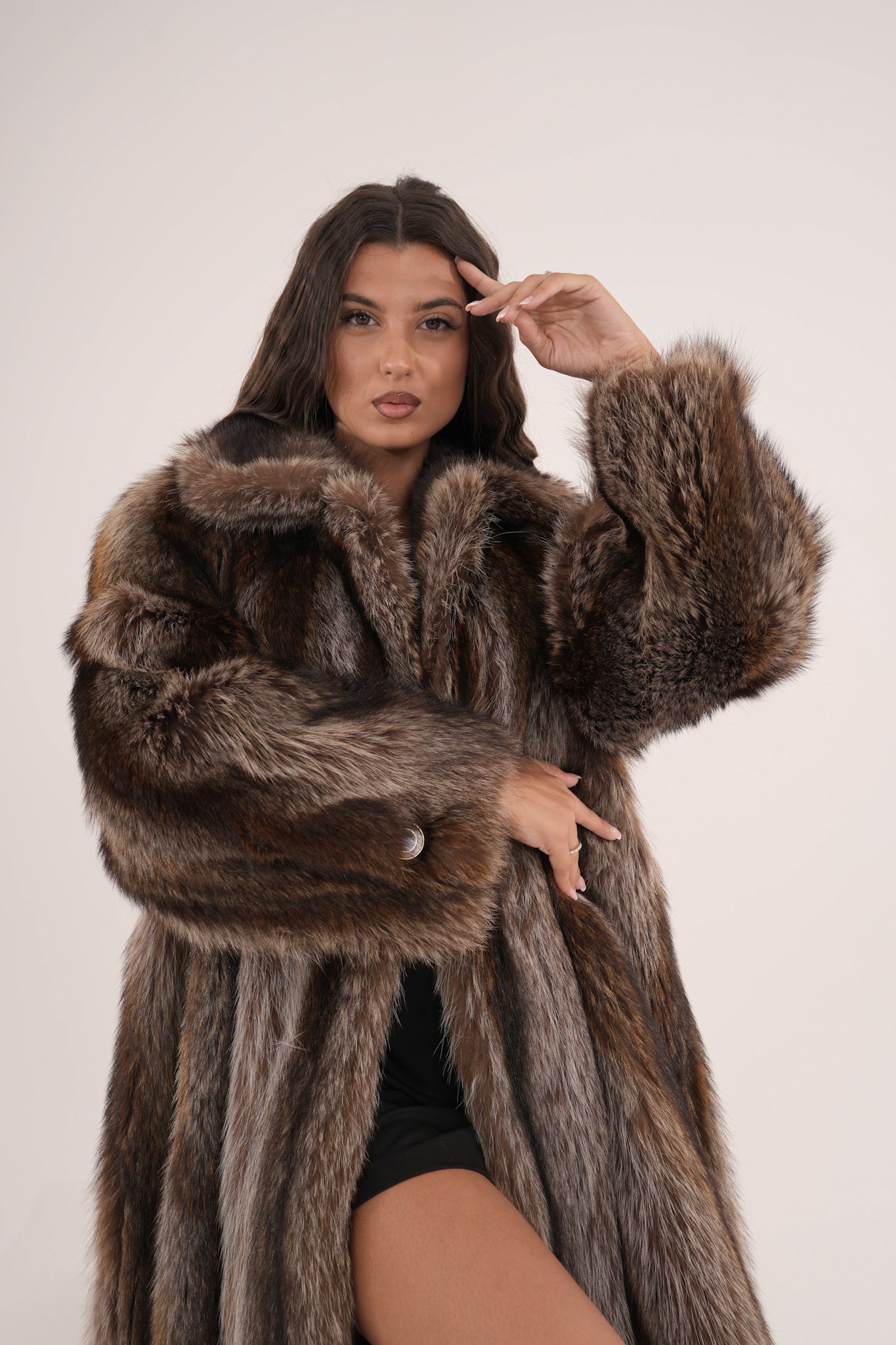 Marmotta Elettra icon