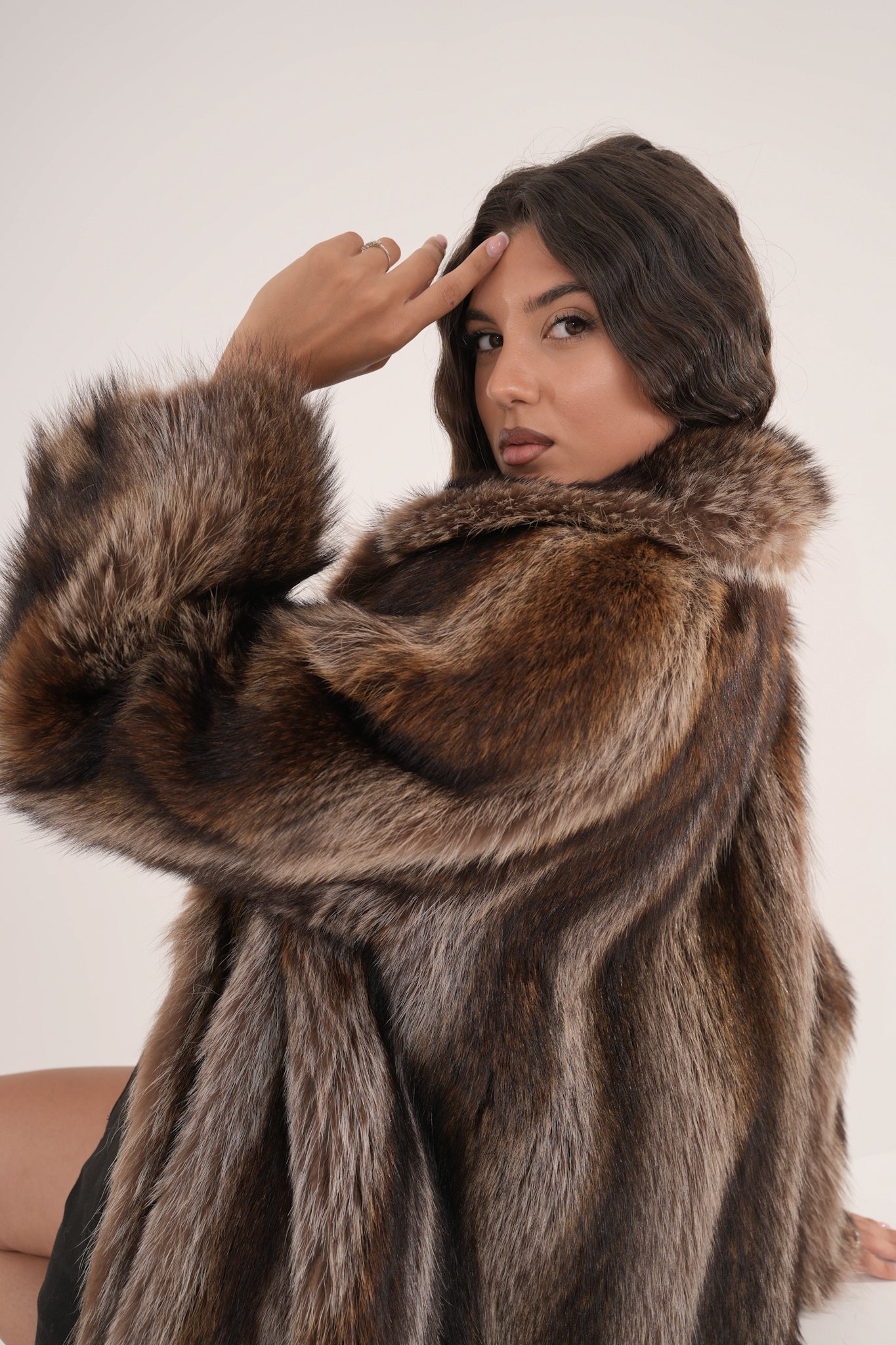 Marmotta Elettra icon