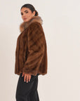Iconic special edition  Brunaia