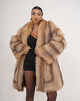 Volpe snow
