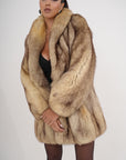 Volpe gold