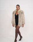 Volpe ivory