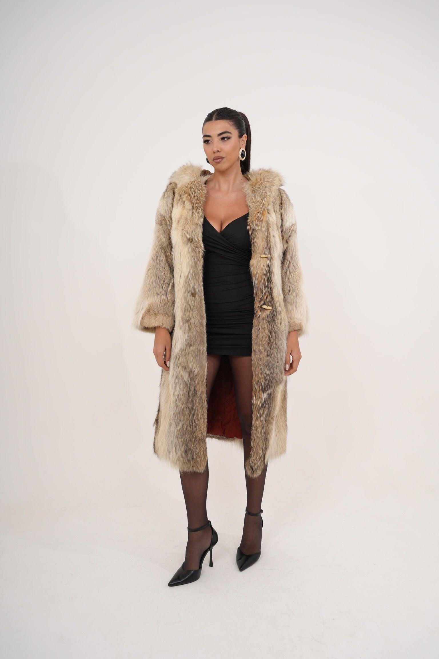Volpe zarina