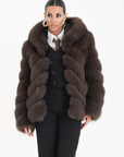 Volpe camelia choco
