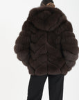 Volpe camelia choco