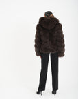 Volpe camelia choco