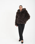 Volpe camelia choco