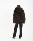 Volpe camelia choco