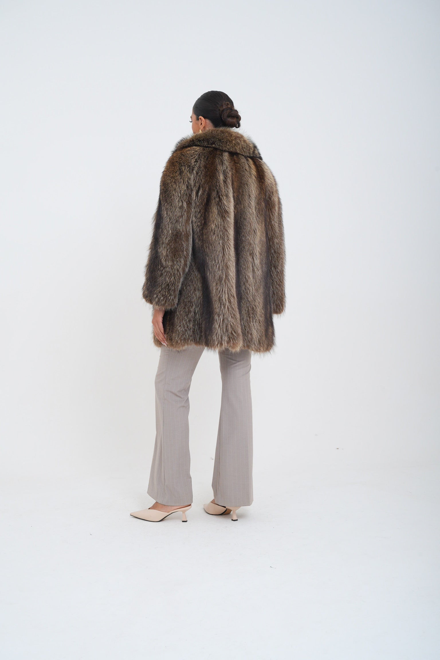 Marmotta sole