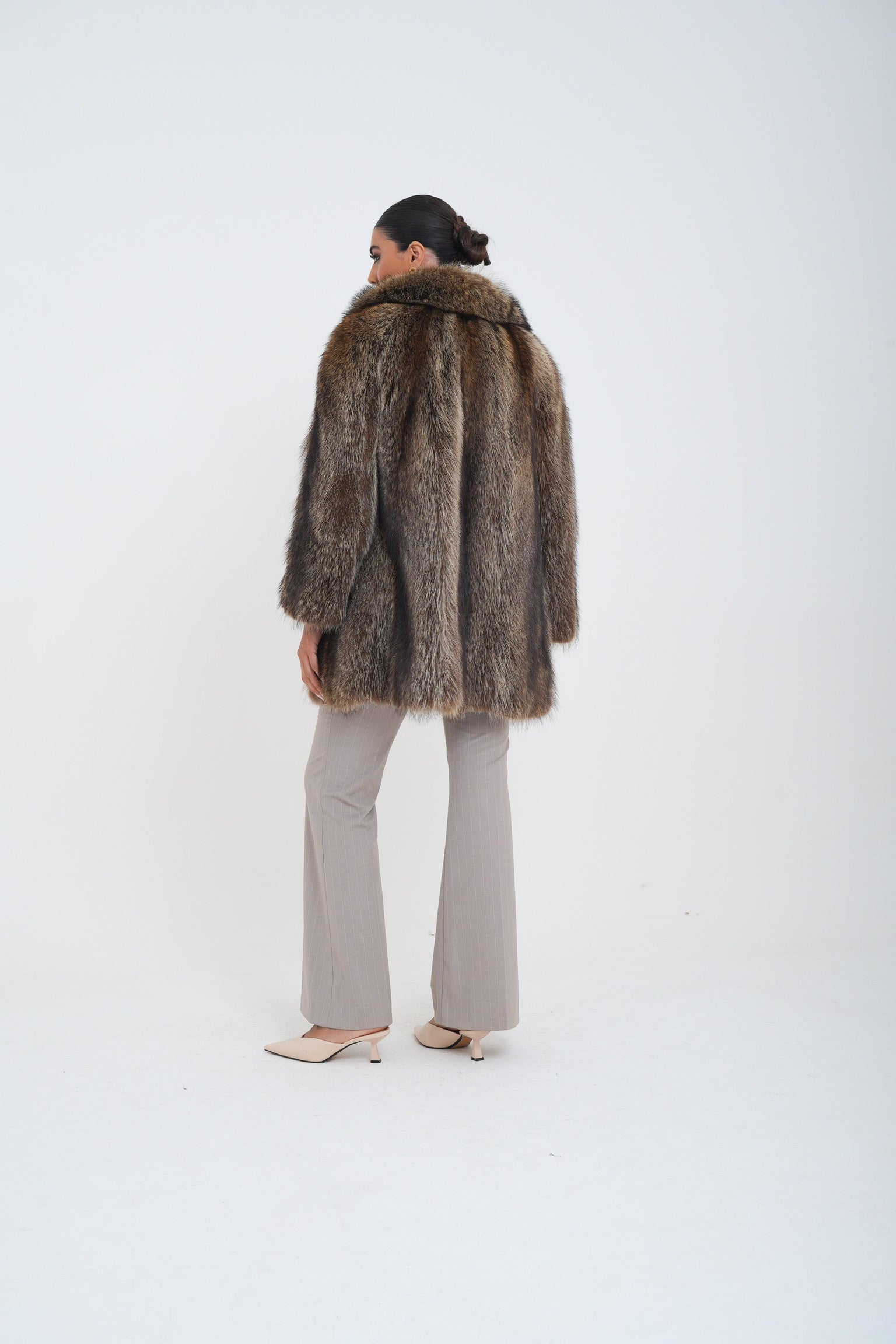 Marmotta sole