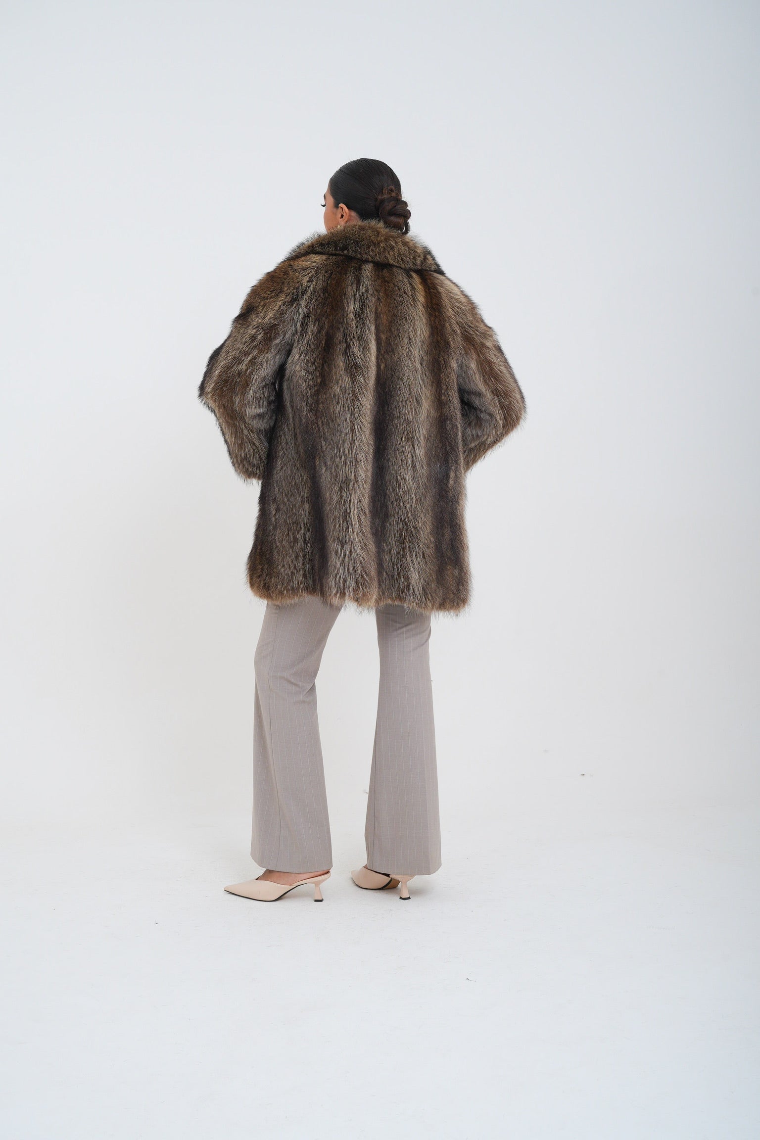 Marmotta sole