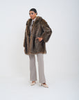 Marmotta sole