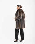 Marmotta felce