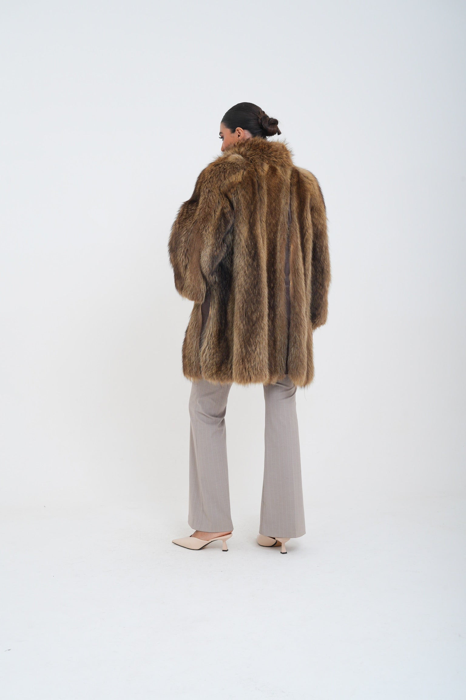 Marmotta dakota