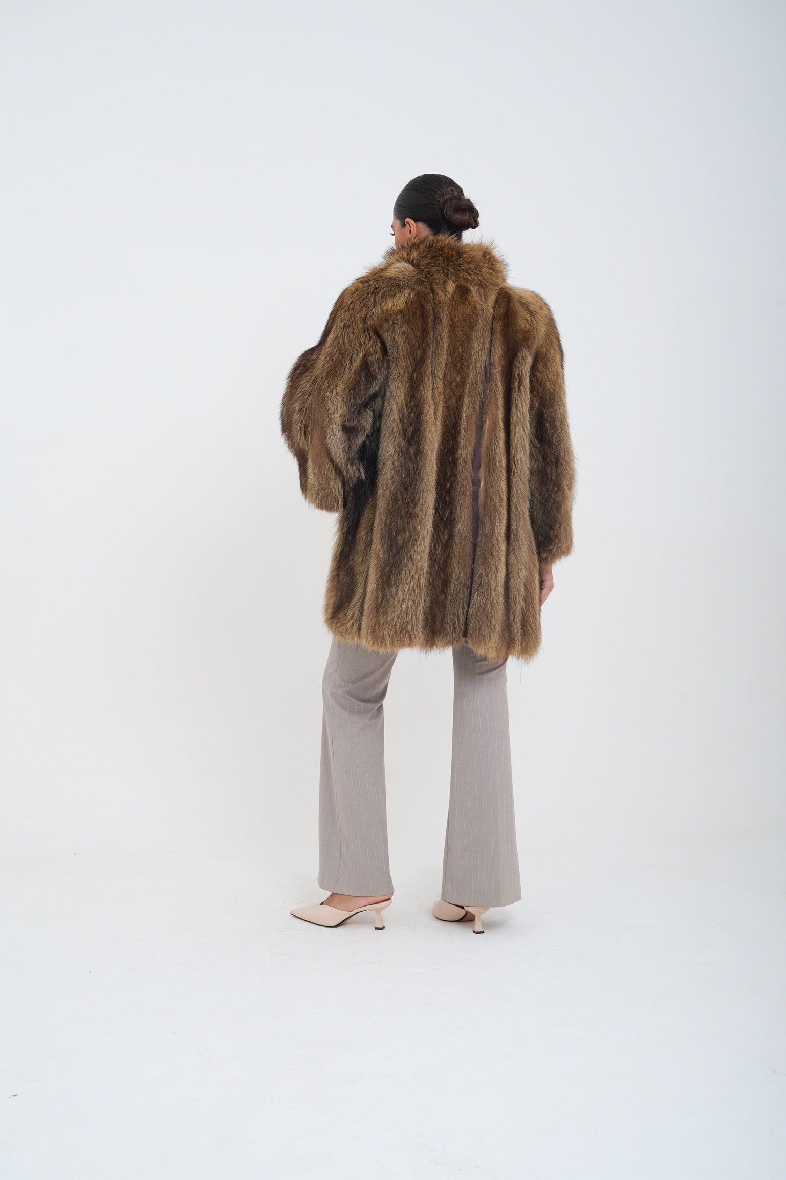 Marmotta dakota